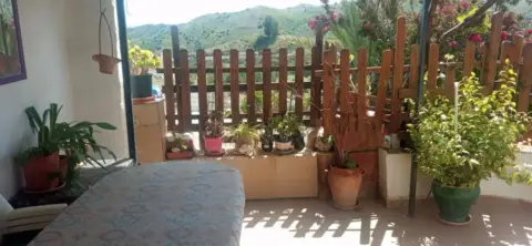 Finca rústica en Almáchar