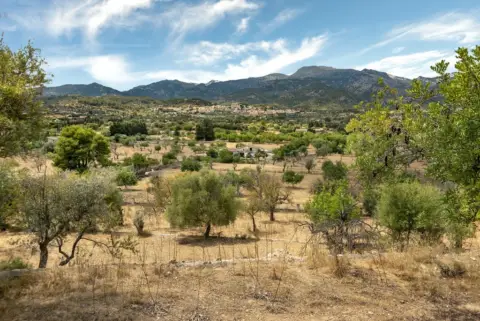Finca rústica en Llucmajor Interior