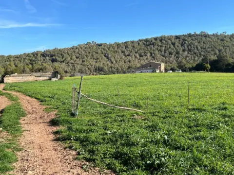 Finca rústica en Artà