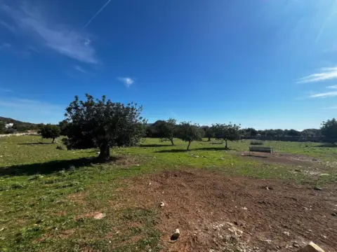 Finca rústica en Son Servera