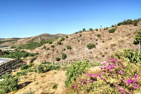 Finca rústica en Arenas de Vélez