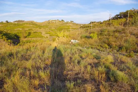 Terreno en Algarrobo