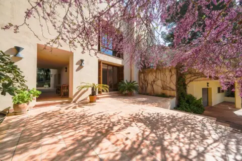 Chalet en Son Servera