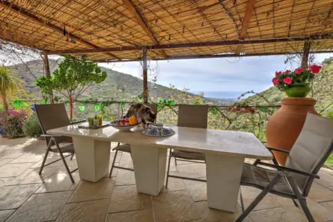 Finca rústica en Núcleo Urbano