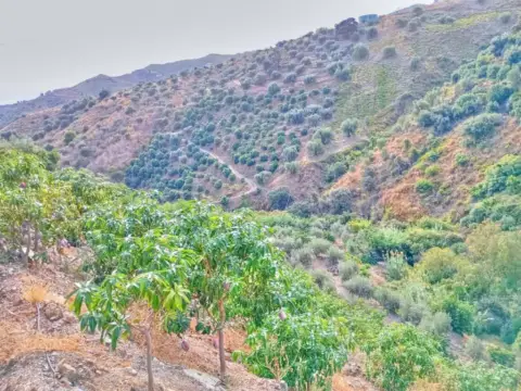 Terreno en San O Pitar