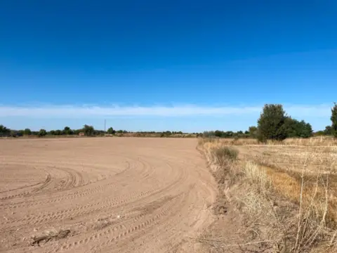 Finca rústica en La Montaña-Cortijo de San Isidro