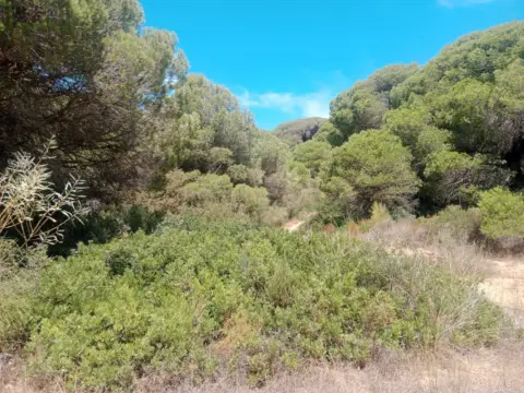 Finca rústica en Los Caños de Meca