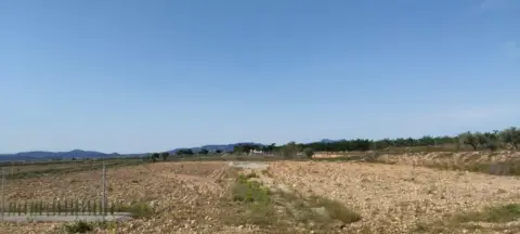 Finca rústica en El Pinós - Pinoso