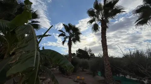 Finca rústica en Calabardina