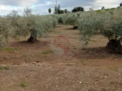 Finca rústica en Barriada Las Flores