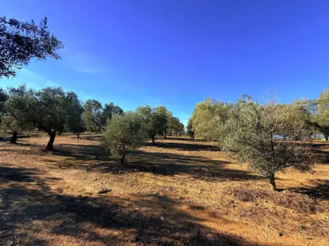 Finca rústica en Marzà