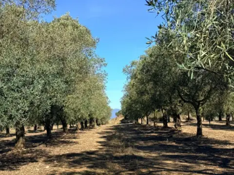 Finca rústica en Marzà