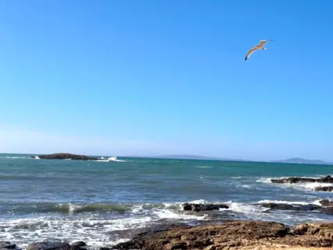 Apartamento en Es Pil·larí