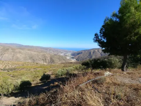 Finca rústica en Sorvilán