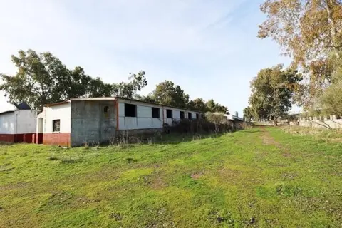 Finca rústica en Alcaudete de La Jara
