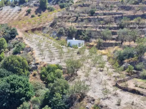 Finca rústica en Calahonda-Carchuna