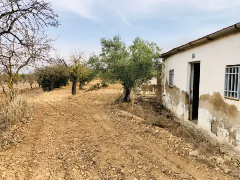 Rural Property in Biar