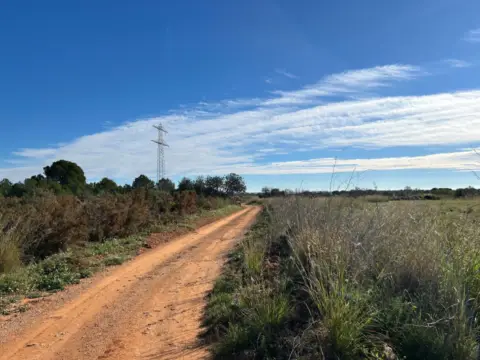 Finca rústica en La Torre