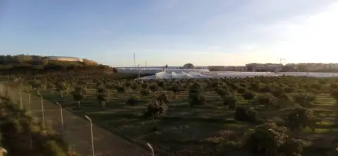 Finca rústica en Algarrobo