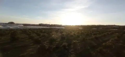 Finca rústica en Algarrobo