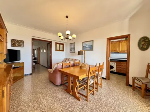 Piso en Avinguda de Miramar, 100