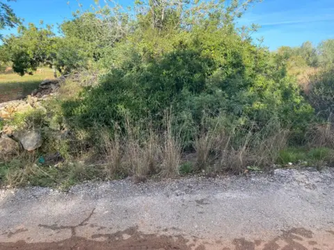 Finca rústica en San Jorge - Sant Jordi