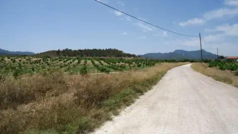 Finca rústica en Jumilla