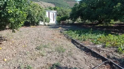 Finca rústica en Benamocarra