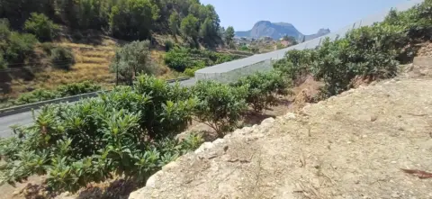 Finca rústica en Callosa d'en Sarrià