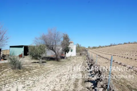 Finca rústica en Colonia los Pocillos