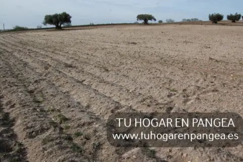 Finca rústica en Navalcarnero