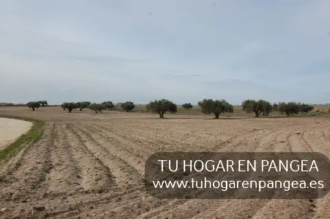 Finca rústica en Navalcarnero