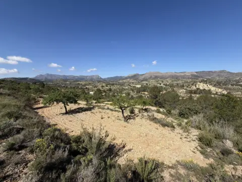 Finca rústica en Relleu