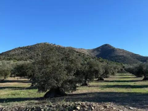 Finca rústica en Centre