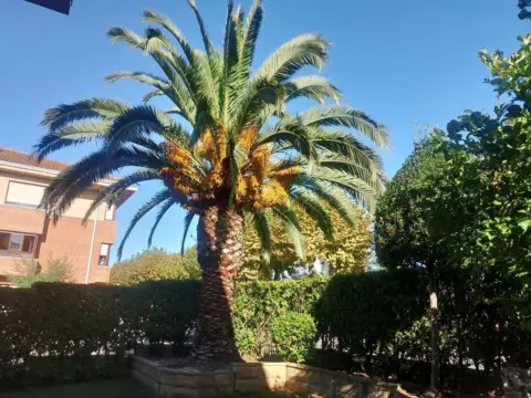 Chalet en Aeropuerto de Sondika