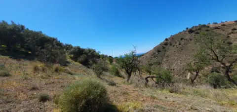 Finca rústica en El Candado-Camino de Olías-Camino de los Montes
