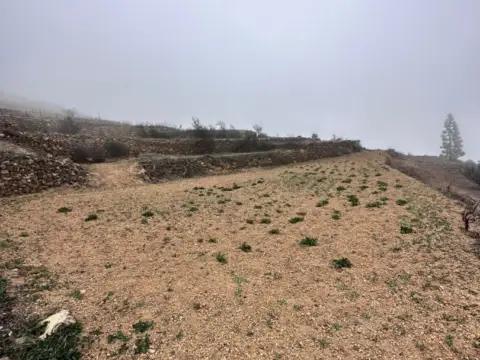 Finca rústica en Fasnia