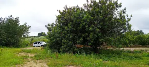 Finca rústica en Càlig
