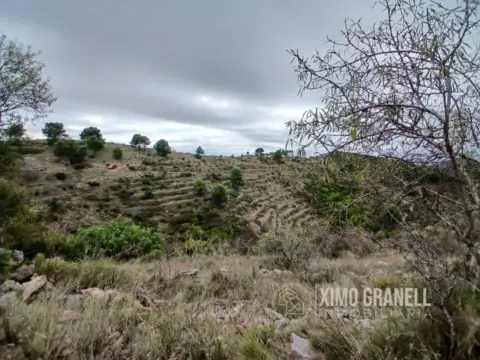 Finca rústica en La Vall d'Uixó