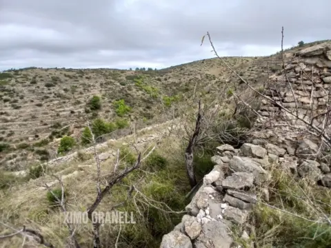 Finca rústica en La Vall d'Uixó