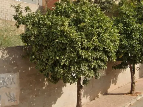 Terreno en Málaga Capital