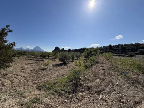 Finca rústica en Relleu