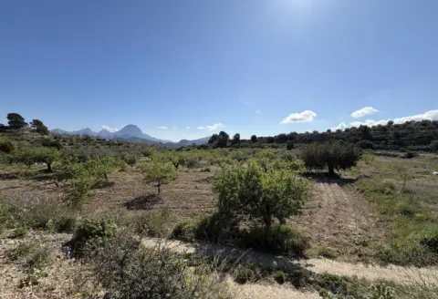 Finca rústica en Relleu
