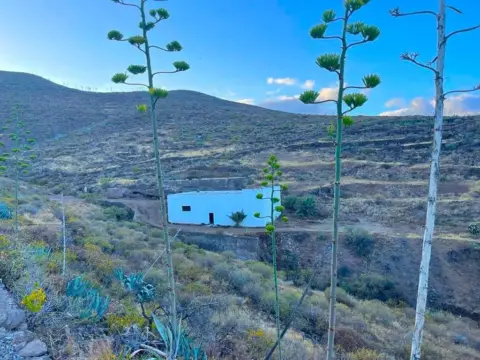 Finca rústica en Ingenio