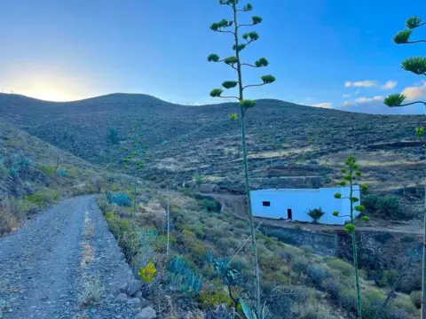 Finca rústica en Ingenio