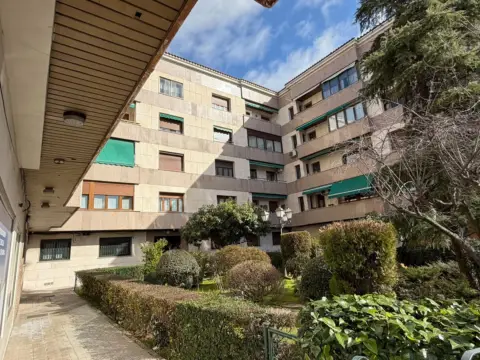 Local comercial en Centro