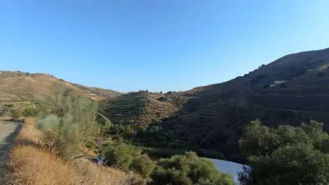 Finca rústica en Torrox Costa