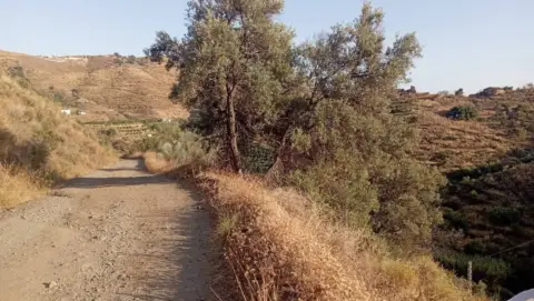 Finca rústica en Torrox Costa