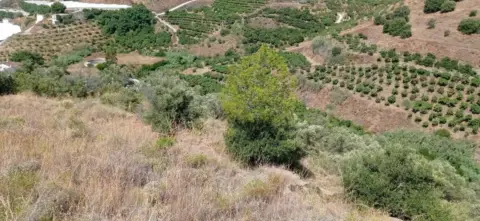 Finca rústica en Este