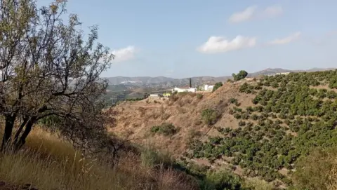 Finca rústica en Núcleo Urbano
